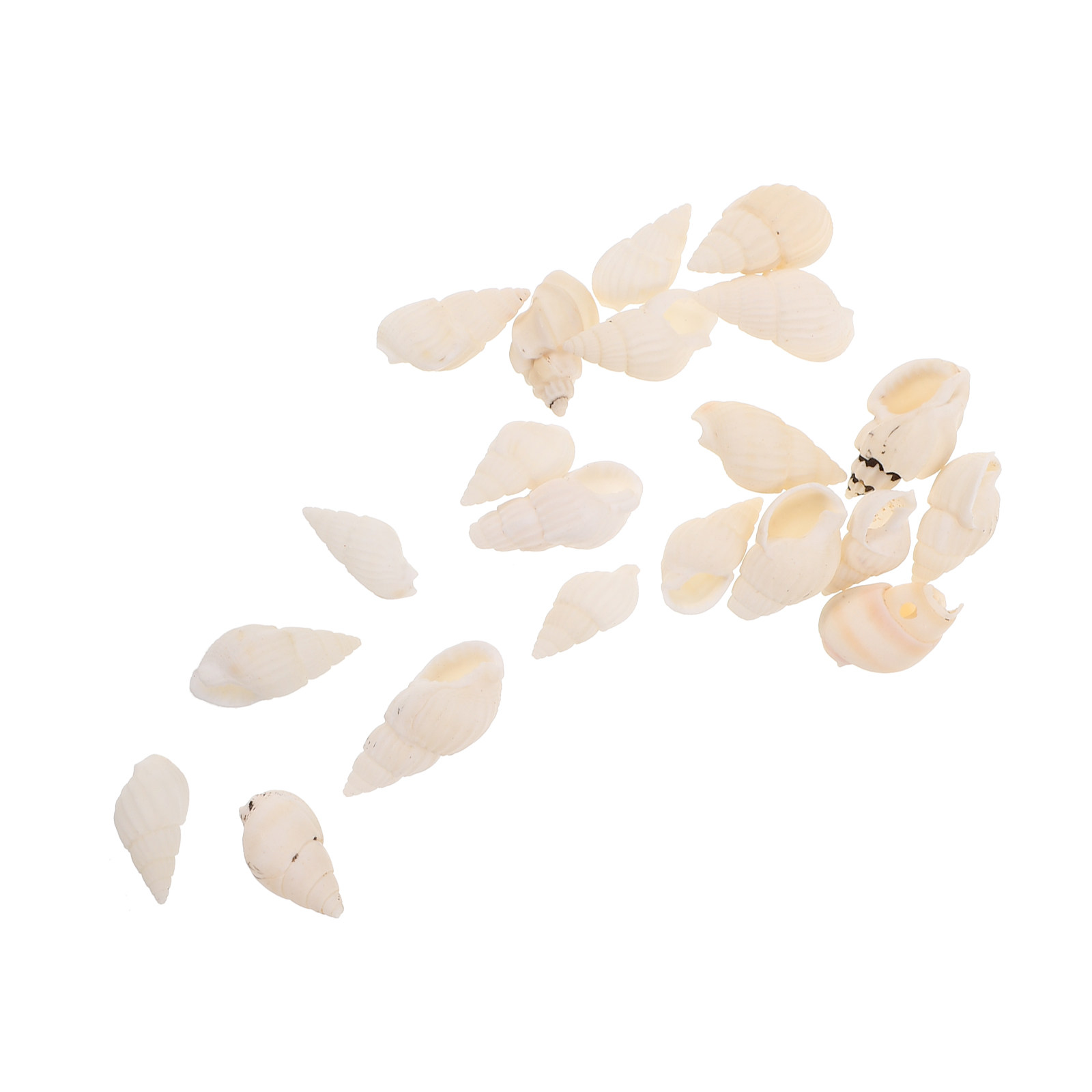 20Pcs White Spiral Seashells B - огляд і ціна Resin Art Ocean