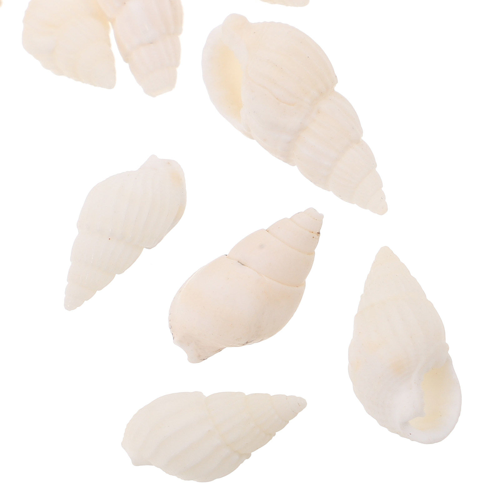 20Pcs White Spiral Seashells B - огляд і ціна Resin Art Ocean